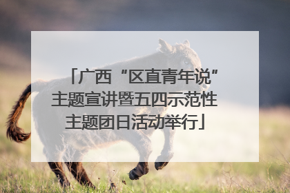 广西“区直青年说”主题宣讲暨五四示范性主题团日活动举行