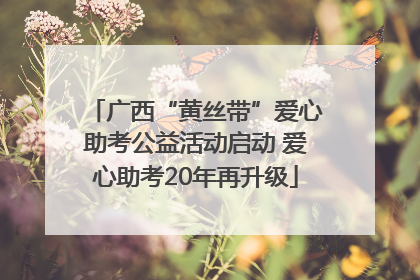 广西“黄丝带”爱心助考公益活动启动 爱心助考20年再升级