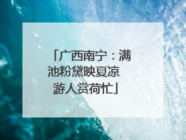 广西南宁：满池粉黛映夏凉 游人赏荷忙