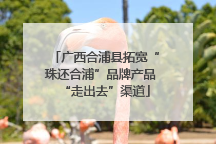 广西合浦县拓宽“珠还合浦”品牌产品“走出去”渠道