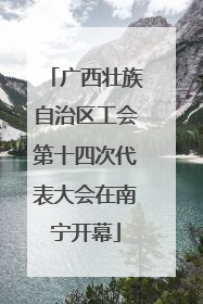 广西壮族自治区工会第十四次代表大会在南宁开幕