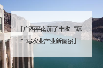 广西平南茄子丰收“蔬”写农业产业新图景