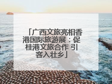 广西文旅亮相香港国际旅游展：促桂港文旅合作 引客入壮乡