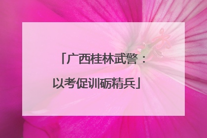 广西桂林武警：以考促训砺精兵