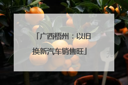 广西梧州：以旧换新汽车销售旺