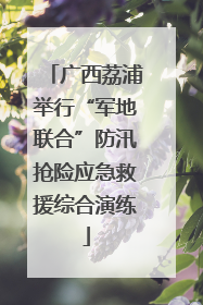 广西荔浦举行“军地联合”防汛抢险应急救援综合演练