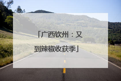 广西钦州：又到辣椒收获季