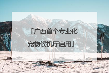 广西首个专业化宠物候机厅启用