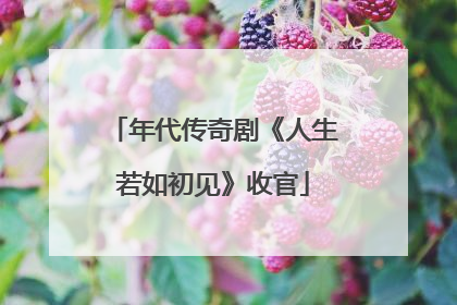年代传奇剧《人生若如初见》收官