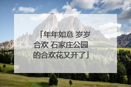年年如意 岁岁合欢 石家庄公园的合欢花又开了