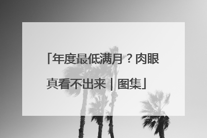 年度最低满月？肉眼真看不出来｜图集