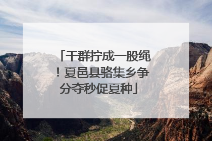 干群拧成一股绳！夏邑县骆集乡争分夺秒促夏种