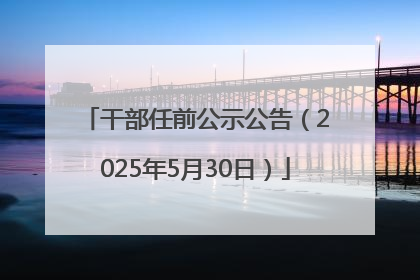 干部任前公示公告（2025年5月30日）