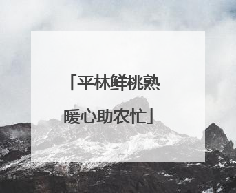 平林鲜桃熟 暖心助农忙