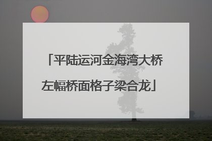 平陆运河金海湾大桥左幅桥面格子梁合龙