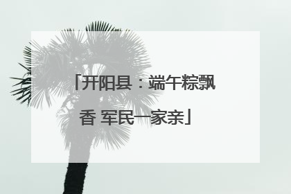 开阳县：端午粽飘香 军民一家亲