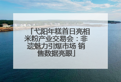 弋阳年糕首日亮相米粉产业交易会：非遗魅力引爆市场 销售数据亮眼