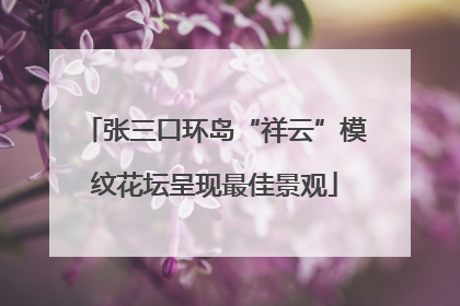 张三口环岛“祥云”模纹花坛呈现最佳景观