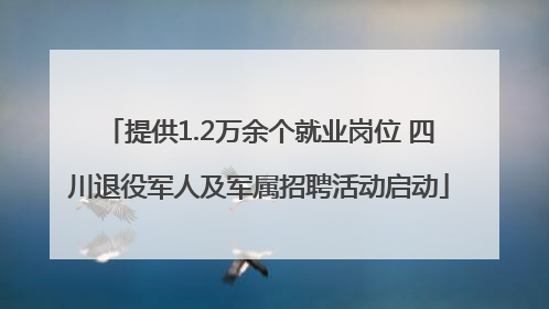 提供1.2万余个就业岗位 四川退役军人及军属招聘活动启动