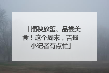 插秧放蟹、品尝美食！这个周末，吉报小记者有点忙