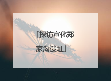 探访宣化郑家沟遗址