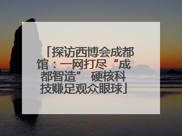 探访西博会成都馆：一网打尽“成都智造” 硬核科技赚足观众眼球