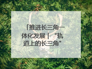 推进长三角一体化发展｜“轨道上的长三角”今年基本建成