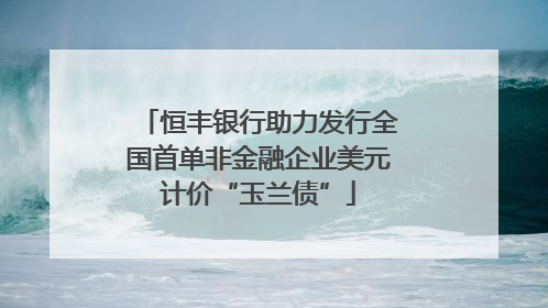 恒丰银行助力发行全国首单非金融企业美元计价“玉兰债”