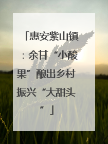 惠安紫山镇：余甘“小酸果”酿出乡村振兴“大甜头”