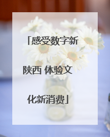感受数字新陕西 体验文化新消费