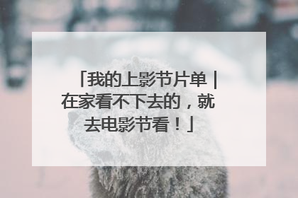 我的上影节片单｜在家看不下去的，就去电影节看！