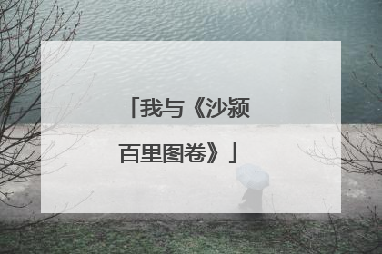 我与《沙颍百里图卷》