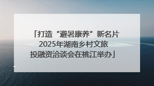 打造“避暑康养”新名片 2025年湖南乡村文旅投融资洽谈会在桃江举办