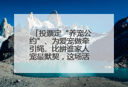 投票定“养宠公约”、为爱宠做牵引绳、比拼谁家人宠最默契，这场活动有趣更有意义