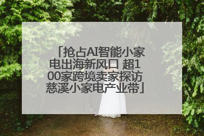 抢占AI智能小家电出海新风口 超100家跨境卖家探访慈溪小家电产业带