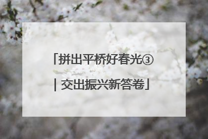 拼出平桥好春光③｜交出振兴新答卷