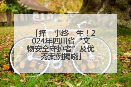 择一事终一生！2024年四川省“文物安全守护者”及优秀案例揭晓