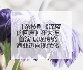杂技剧《深蓝的回声》在大连首演 展现传统渔业迈向现代化海洋牧场奋斗历程