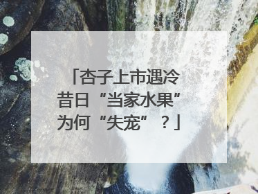 杏子上市遇冷 昔日“当家水果”为何“失宠”？