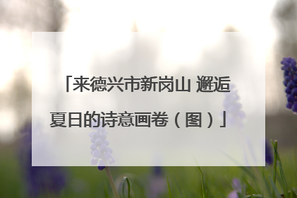 来德兴市新岗山 邂逅夏日的诗意画卷（图）