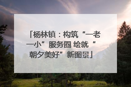 杨林镇：构筑“一老一小”服务圈 绘就“朝夕美好”新图景
