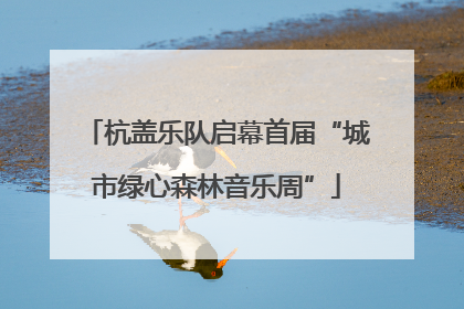 杭盖乐队启幕首届“城市绿心森林音乐周”