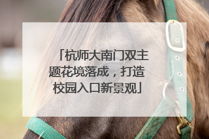 杭师大南门双主题花境落成，打造校园入口新景观