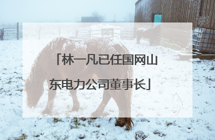 林一凡已任国网山东电力公司董事长