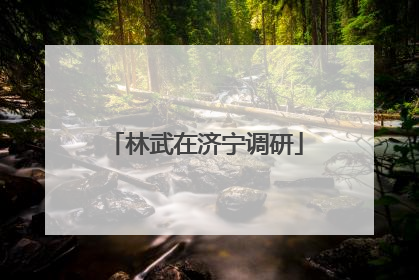 林武在济宁调研