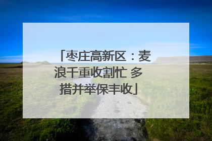 枣庄高新区：麦浪千重收割忙 多措并举保丰收