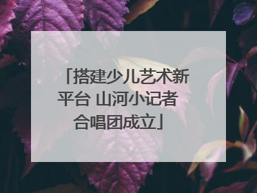 搭建少儿艺术新平台 山河小记者合唱团成立