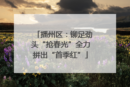 播州区：铆足劲头“抢春光”全力拼出“首季红”