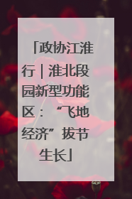 政协江淮行｜淮北段园新型功能区：“飞地经济”拔节生长