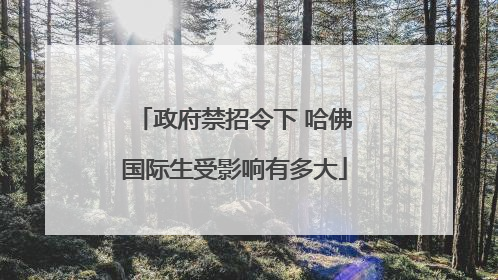 政府禁招令下 哈佛国际生受影响有多大